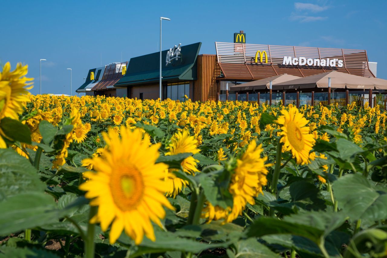 Wer auf der Autobahn Hunger hat, sucht oft nach einem McDonald’s direkt an der Strecke – Motorprofis.at nennt die Optionen.