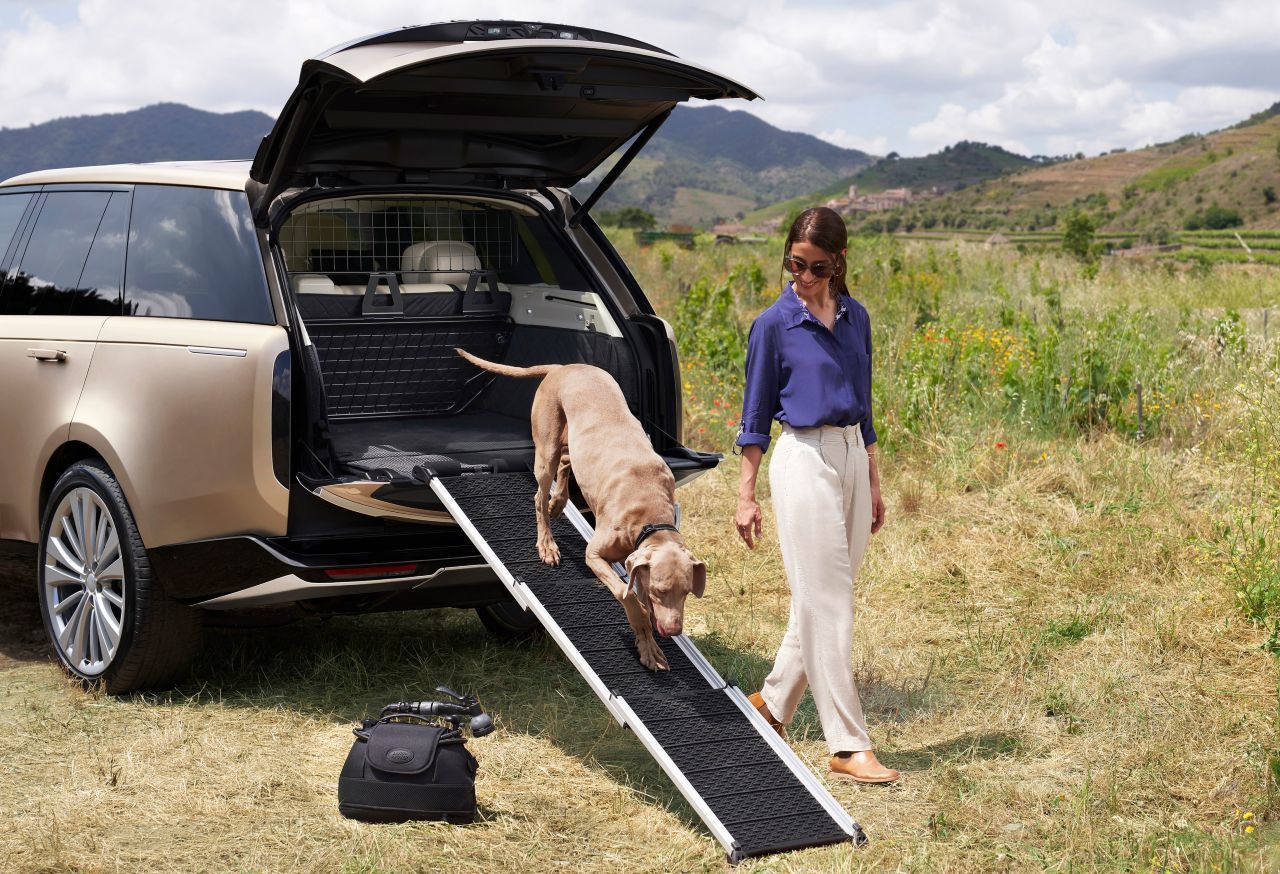 Weil der Kofferraum für Hunde etwas hoch liegt, kann eine kleine Rampe integriert werden. Auch eine Aussichtsbank mit Lederpolsterung gibt es.