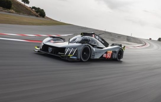 Es geht los: Beim WEC-Klassiker in Monza feiert der Peugeot 9X8, das Hypercar von Peugeot, seine WM-Weltpremiere. - König der Löwen im Königlichen Park