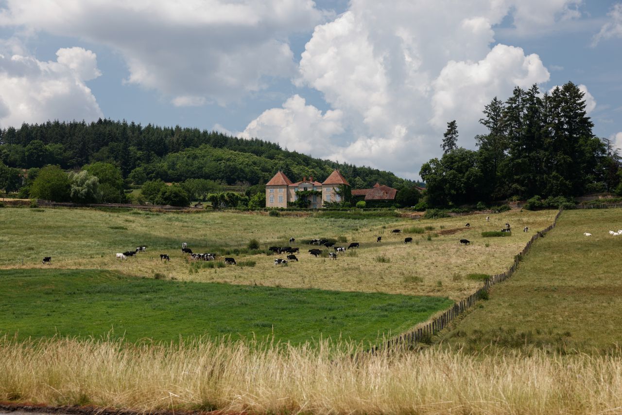 Sanfte Hügel, viele Kühe und schöne Schlösser rund um Lyon.