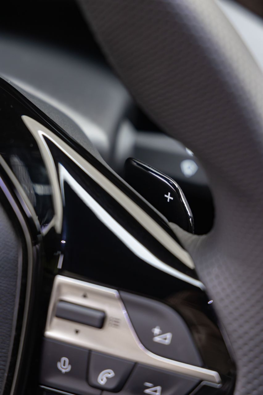 Lenkrad-Paddels für die Rekuperation oder das Doppelkupplungsgetriebe.