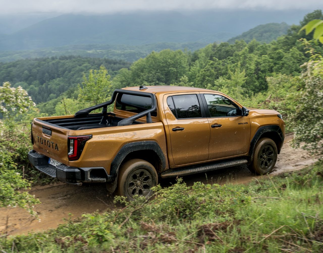Hinten steht Toyota in so großen Lettern auf der Klappe, dass es weithin sichtbar ist. Auch die Hecklichter sind jetzt peppiger.