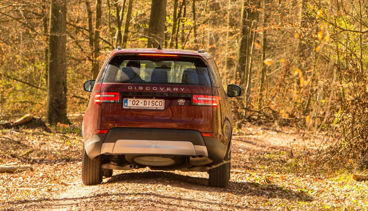 Interessant könnte der Discovery trotz gewissem Luxus-Abstand auch als günstigere Alternative zum großen Range Rover sein.